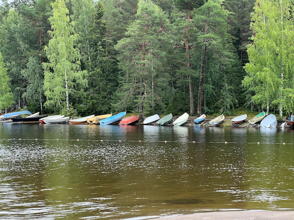 Rowboats on the side of a lake